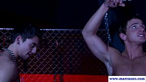 Ripped Jock Bound In Bdsm Sucks Cock Anal Blowjob 😈