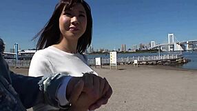 Full Version Link Access