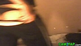 Amateur shemale video – Busty and hairy Latina wearing lingerie