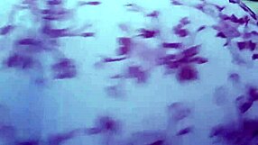 Hello, my friend lent me her panties for the day