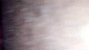 Ann's lips wrapped around a massive black cock in intense sucking. The contrast is thrilling.