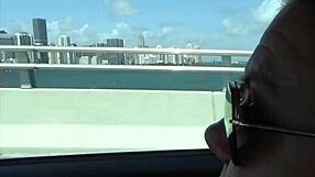 Dirty Whore's Big Ass Gets Cumshot In Miami Sex Without Condom