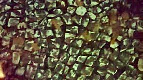 Naughty public masturbation in sao paulo park!