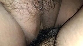 your dick is very hard as she licks and sucks it