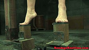 Bogve, gledat vezano sub puno kaznovano z igračkami je noro