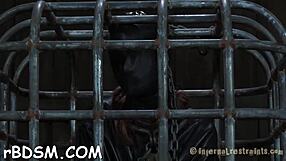 i get excited by bizarre t playgirl