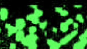 Can Yasmine Woods Handle Those Hitachi Orgasms from Doctor Tampa During Her College Physical?