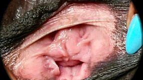 甘い毛深い巣がRumescoによってHDでクローズアップ探検