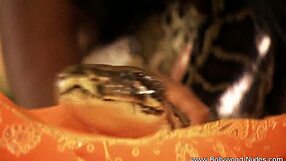 My Exotic Indian Honey Teases Solo with Sultry Brunette Charm in Steamy Display.