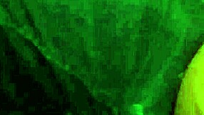 Blow job with gay sucking action