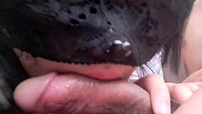 asian student cosplays in outdoor car blowjob for grade exchange