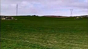Strolling Through The Field