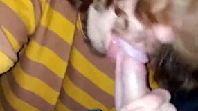 After a long day, I sucked my cute buddy in the car