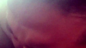 BBW transka požírá černou prdel, kurva, divoký rimjob!