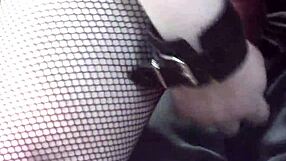 Mature wife Aimeeparadise submits in handcuffs