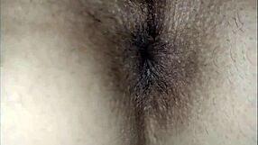 my wife's beautiful holes get intensely fucked in the ass