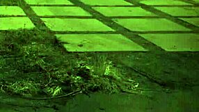 Big Ass Brazilian Teen Dominated