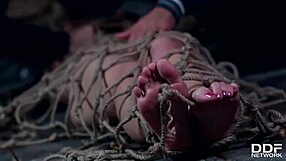 Realtor and client punish submissive beauty with DP.