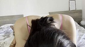 Amateur Couple Fucks In Hotel With Cumshot