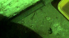 Detailed View of Female Dirty Barefoot Soles