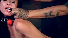 aidra fox and kharlie stone are best buddies in extreme face fucking