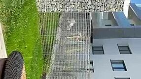 i watch skinny brunette on balcony with neighbors