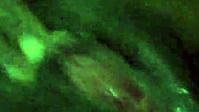 I just can't stop squirting from this ebony pussy creampie it's so wet and horny up close