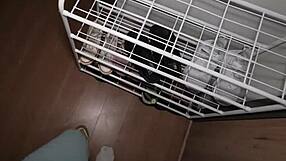 i came home and was looking for pussy!