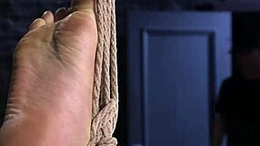 Hogtied Babe Pussy Fucked With Dildo