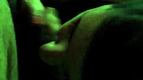 Captured moment of swallow on August 29, 2014 😊