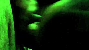 Captured moment of swallow on August 29, 2014 😊