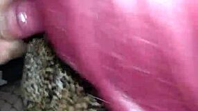 That bitch just can't get enough of my cock, begging like a slutty hooker.