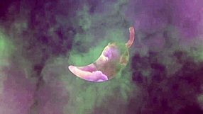 bianca acts like jennifer from tinder and gets literally fucked in the ass by alex lima, see full on xv red