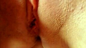 Delhi maszti with toys and vibrator.