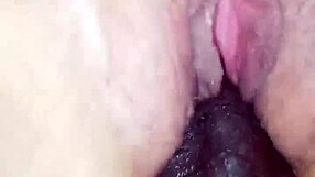 Büyük kıçlı olgun karının BBC'yi köpek pozisyonunda aldığını gördün mü?