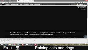 Heavy rain pours down with cats and dogs everywhere