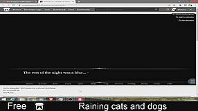 Heavy rain pours down with cats and dogs everywhere