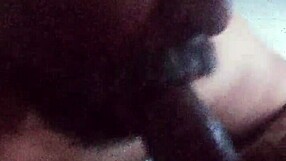 Sucking Massive Black Shemale Cock