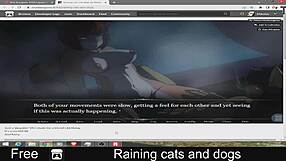 Heavy rain pours down with cats and dogs everywhere