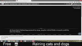 Heavy rain pours down with cats and dogs everywhere