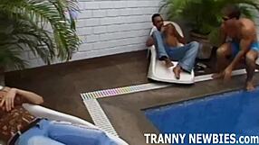 Join our exciting shemale threesome with crossdressing transsexuals!