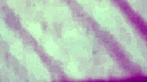 vivi guedez oficial made an adult film without her husband knowing about it.