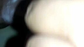 Delicious shemale pussy gets fucked by amateurs