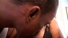 Curvy Black Women Dive Into Steamy Action In Part 2 Of Wild Encounter.