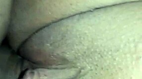 Delicious shemale pussy gets fucked by amateurs