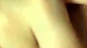 Nhẫn Rose estrela vietnamita safada