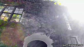 jasmine grey pounded to orgasm by stepbro's big cock