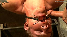 Home alone shemale shows balls bulge in tight bikini