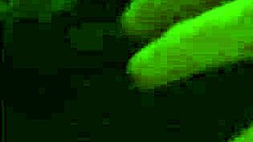 Detailed guide on sharing my wife responsibly