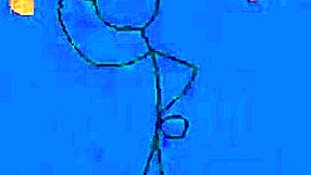 Exploring Emotions in Hentai: Is Tsui No Sora Really That Bad?